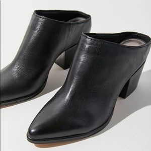 Solve Vita Roya Mule